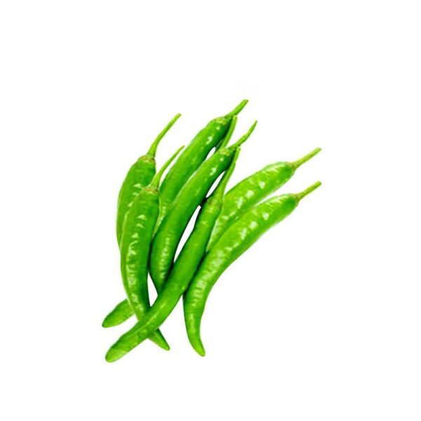 Green chilli, (hari mirch) हरी मिर्च