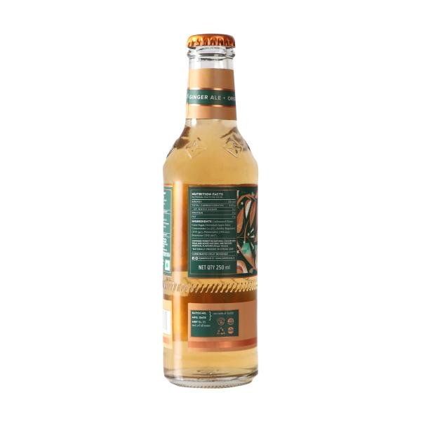 jade forest ginger ale pack of 24 product images orvoeg2w3r1 p598934397 0 202303010403