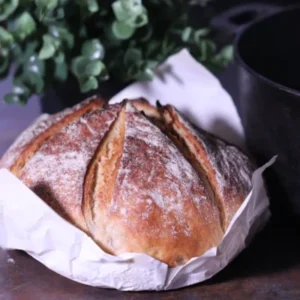 Sour Dough Breads